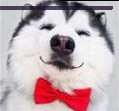 赵鹏