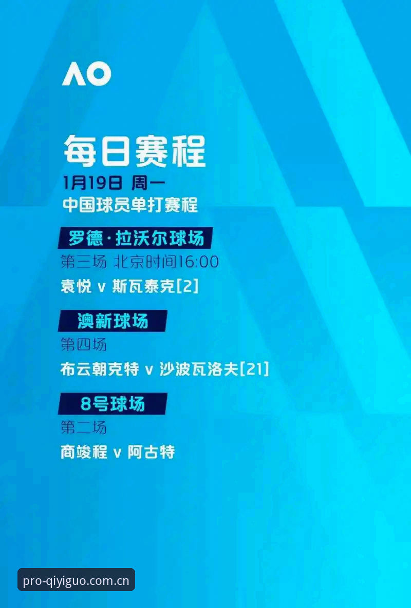 资深球迷深度分析：世界杯观赛受阻背后，签证困局如何影响你的赛事体验